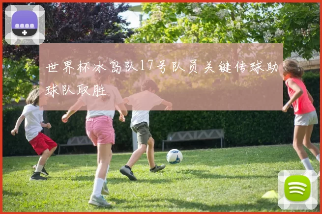 世界杯冰岛队17号队员关键传球助球队取胜