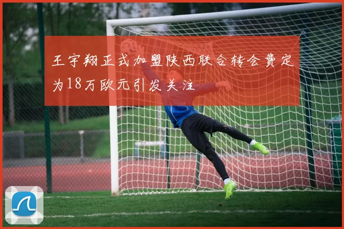 王宇翔正式加盟陕西联合转会费定为18万欧元引发关注