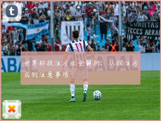 世界杯投注方法全解析:从投注方式到注意事项