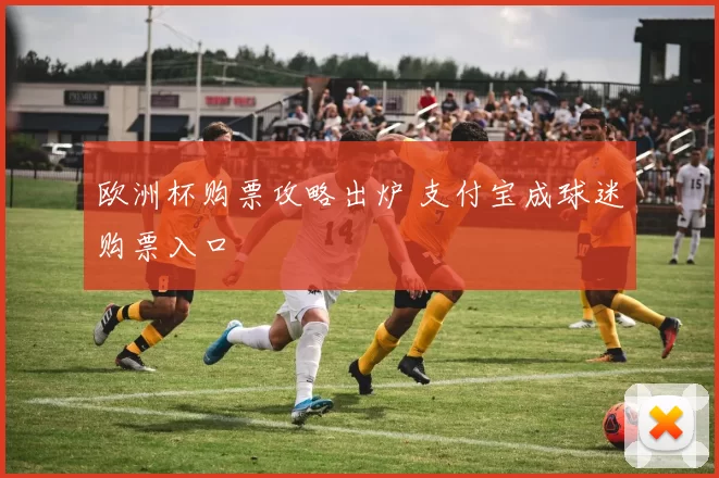 欧洲杯购票攻略出炉 支付宝成球迷购票入口