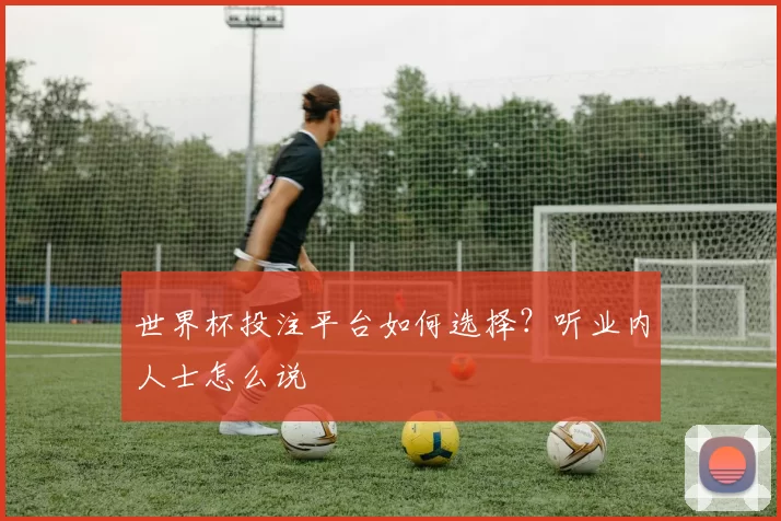 世界杯投注平台如何选择?听业内人士怎么说