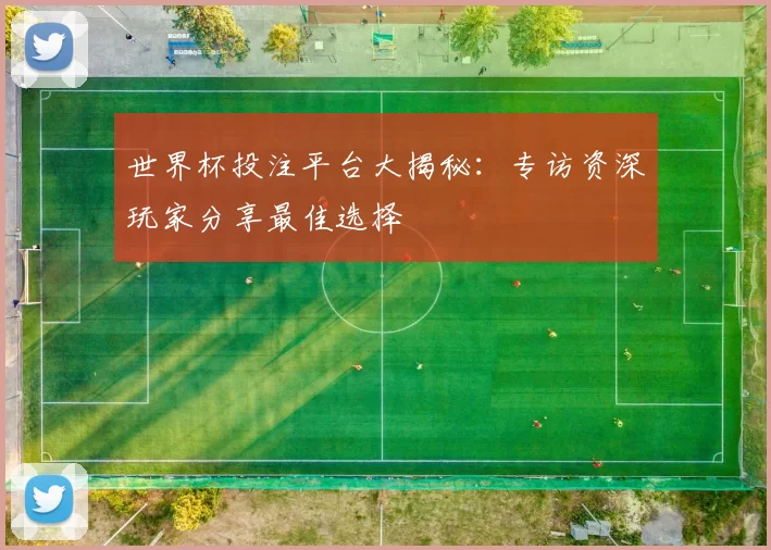 世界杯投注平台大揭秘：专访资深玩家分享最佳选择