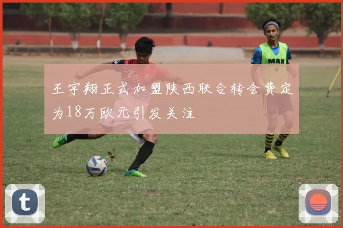 王宇翔正式加盟陕西联合转会费定为18万欧元引发关注