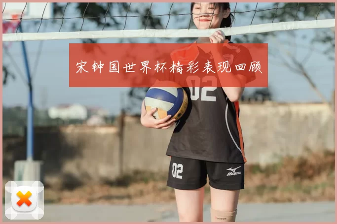 宋钟国世界杯精彩表现回顾