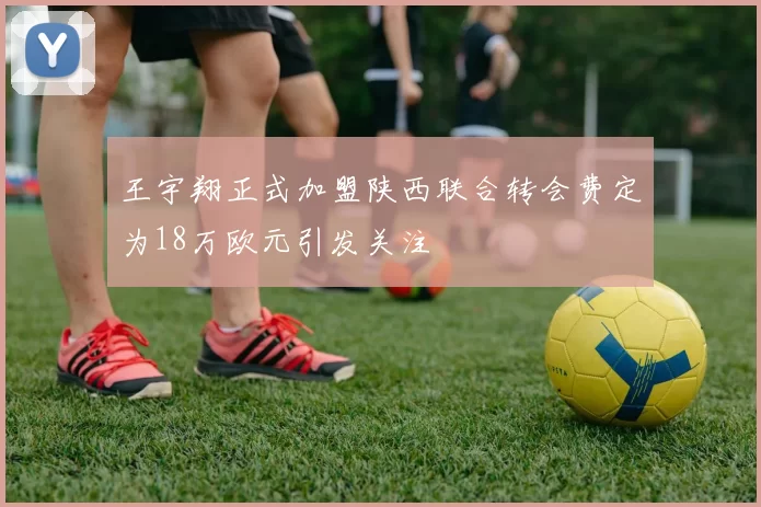 王宇翔正式加盟陕西联合转会费定为18万欧元引发关注