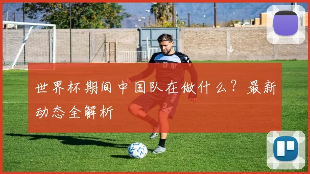 世界杯期间中国队在做什么?最新动态全解析