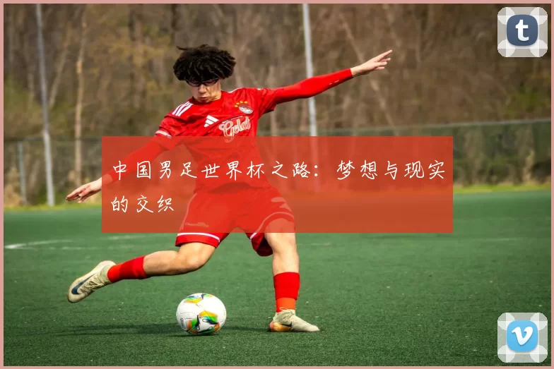 中国男足世界杯之路:梦想与现实的交织