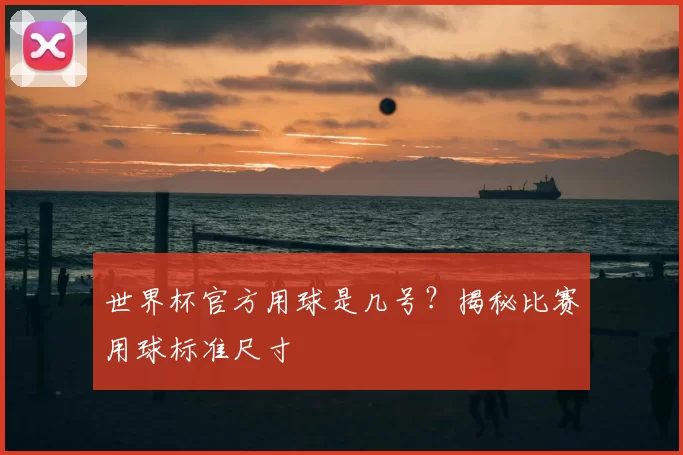 世界杯官方用球是几号?揭秘比赛用球标准尺寸