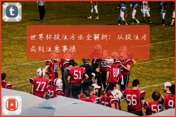 世界杯投注方法全解析:从投注方式到注意事项