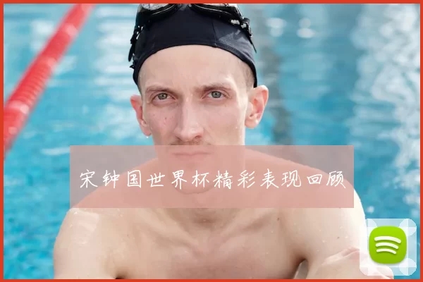 宋钟国世界杯精彩表现回顾