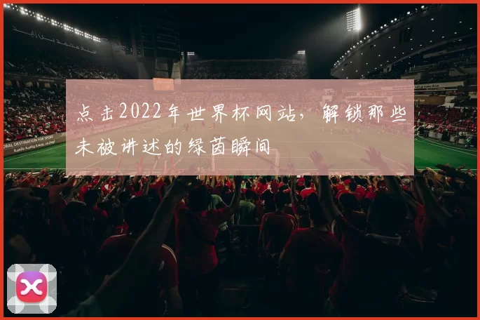 点击2022年世界杯网站，解锁那些未被讲述的绿茵瞬间