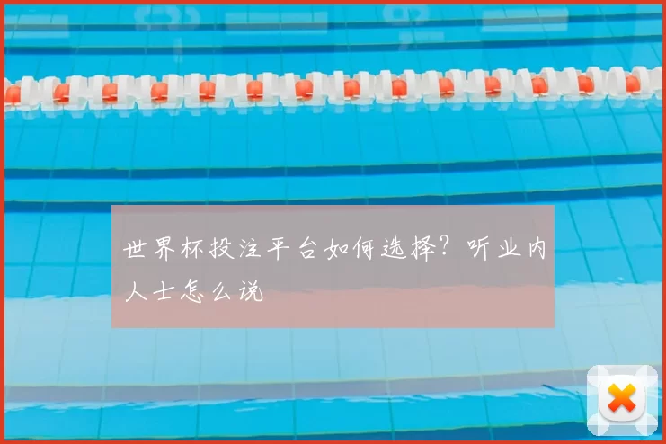 世界杯投注平台如何选择？听业内人士怎么说