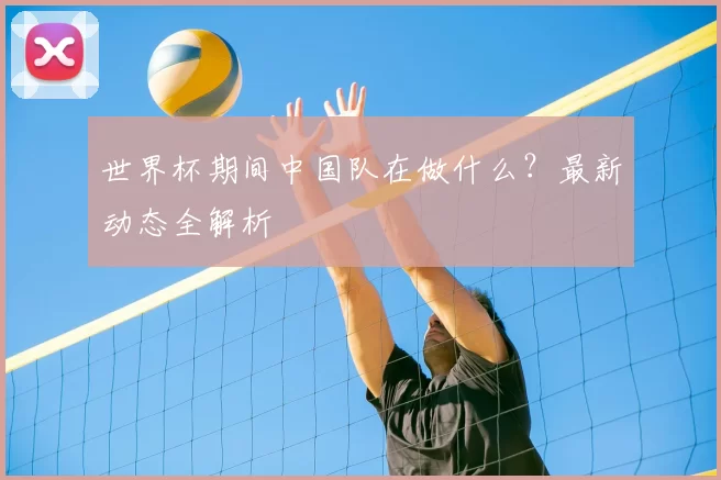 世界杯期间中国队在做什么？最新动态全解析