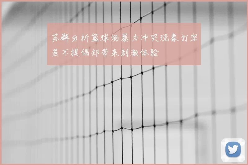 苏群分析篮球场暴力冲突现象打架虽不提倡却带来刺激体验